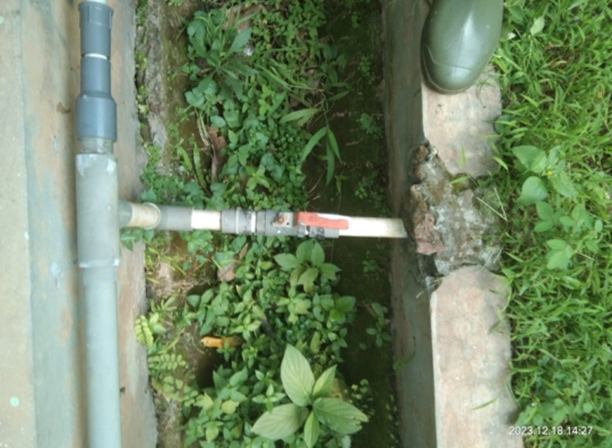 AREA BELAKANG GDRM