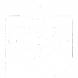 tokopedia-250x250