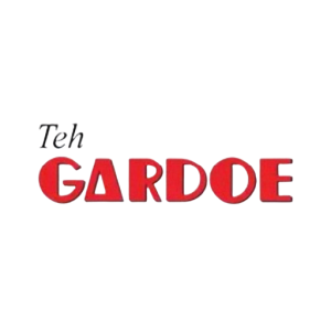 logo 10